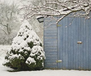 Blue garden shed in the snow