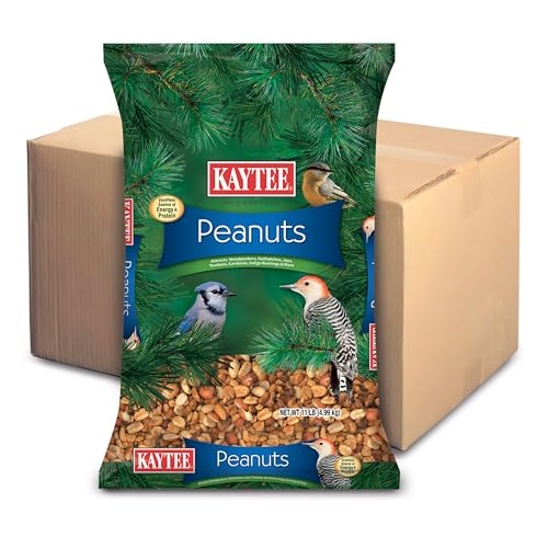 Kaytee Peanuts Wild Bird Food, High in Fat and Protein