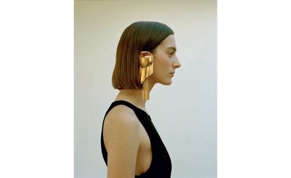 Feather-like earrings