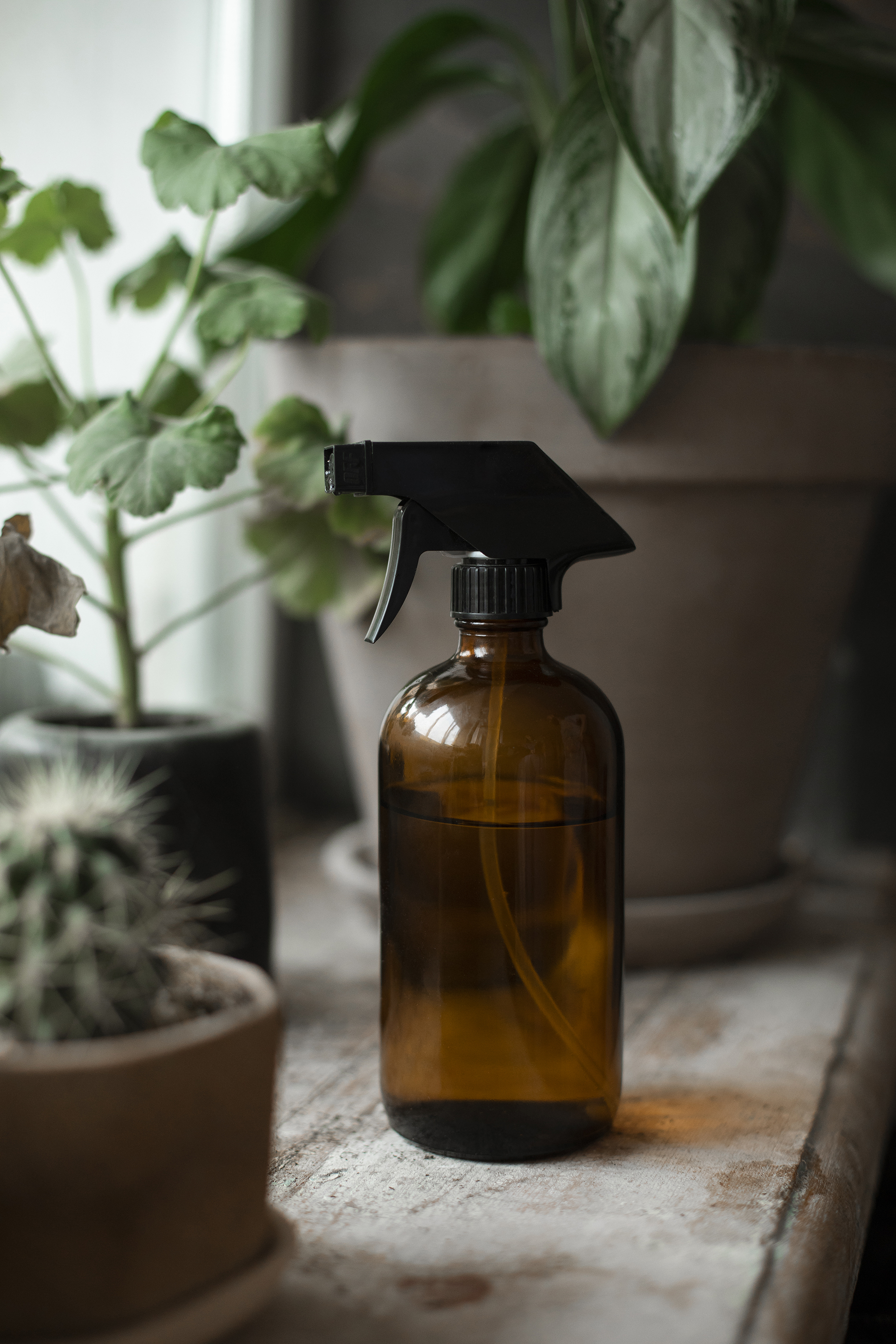 brown spray bottle on window sill near potted plants