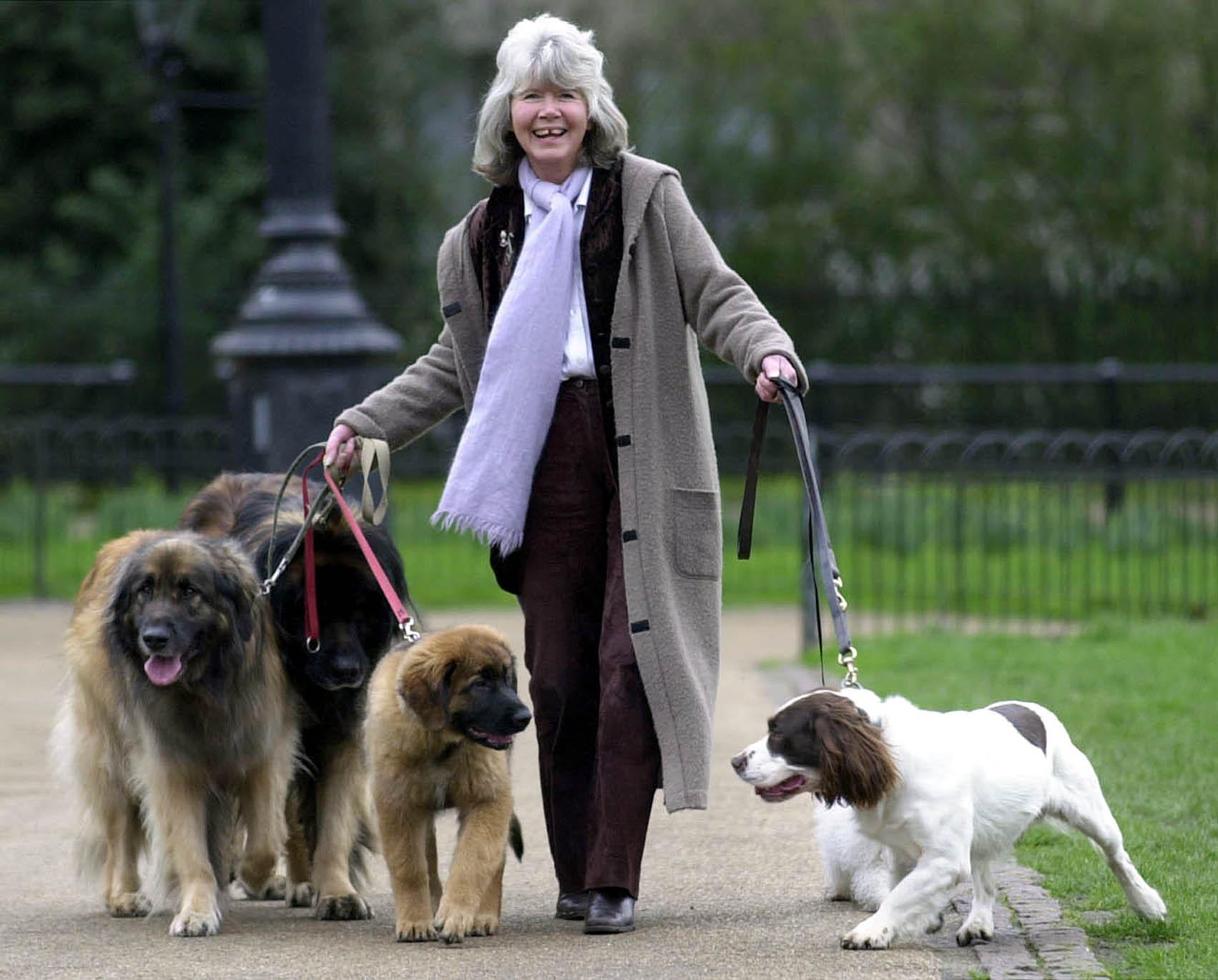 Jilly Cooper and dogs
