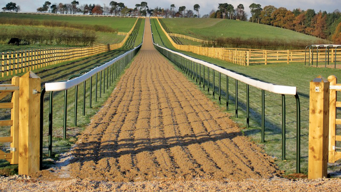 Kelsall-Hill-gallops-RM.jpg