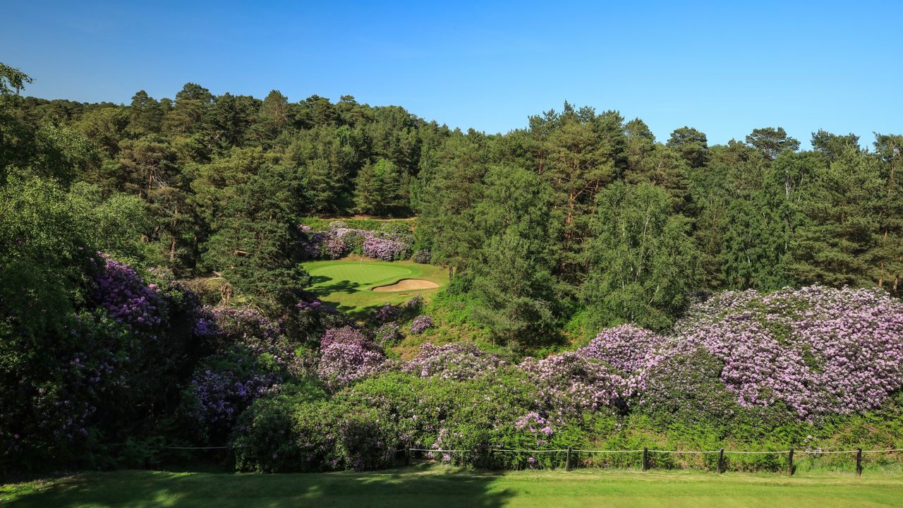 Woburn Golf Club Duke&#039;s Course