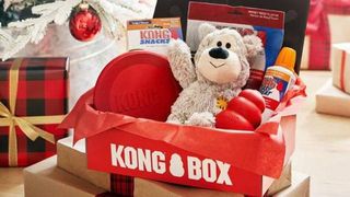 kong box