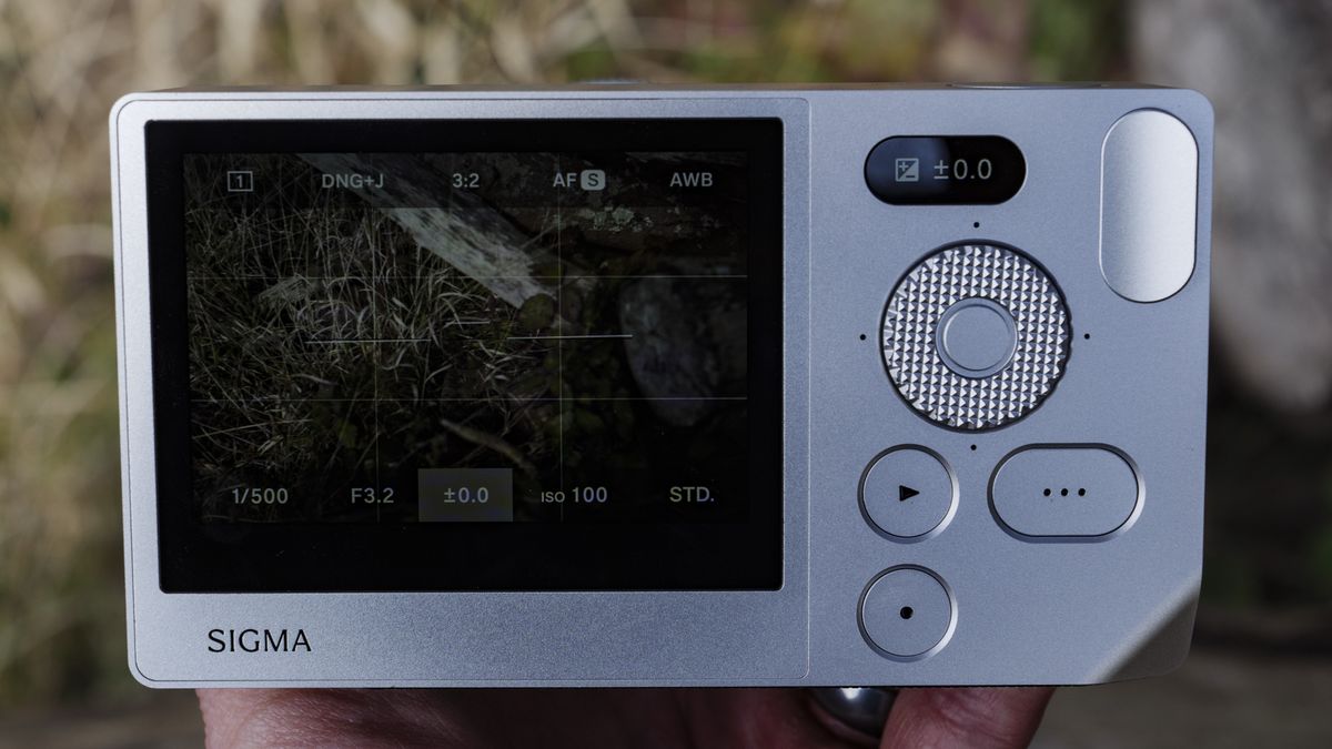 The Sigma BF camera's rear touchscreen display looking dark in bright light