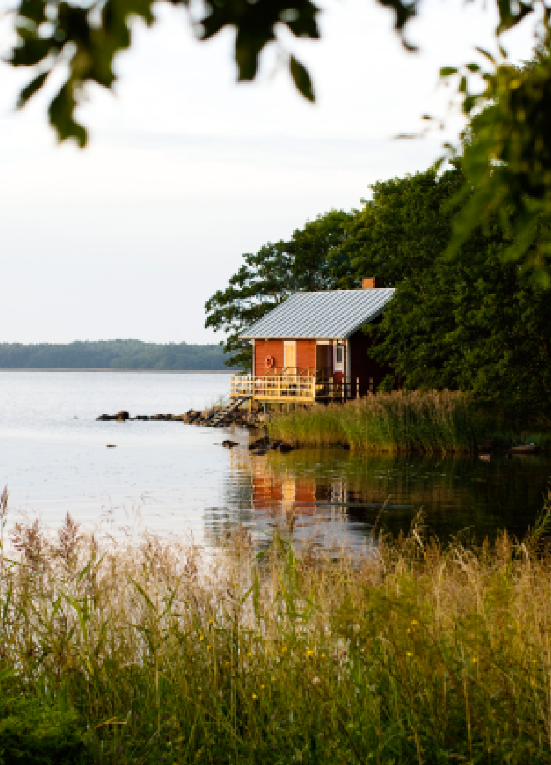Nature in Finland