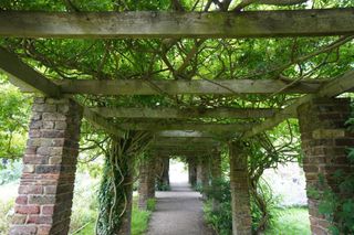 Sample photo shot on the Sony ZV-E10