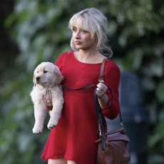 Pop star Sabrina Carpenter was spotted at a Hollywood Hills Park looking radiant in a sheer red dress, cradling her adorable new puppy. Joined by friends for a laid-back afternoon, the singer completed her chic look with a Loewe handbag, effortlessly blending glam with casual charm.