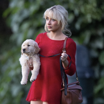 Pop star Sabrina Carpenter was spotted at a Hollywood Hills Park looking radiant in a sheer red dress, cradling her adorable new puppy. Joined by friends for a laid-back afternoon, the singer completed her chic look with a Loewe handbag, effortlessly blending glam with casual charm.