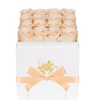 Perfectione Roses Luxury Preserved Roses in a Box, Forever Real Roses That Last Up to 3 Years Mothers Day Valentines Day Gifts for Her Birthday Gifts (buttermilk)