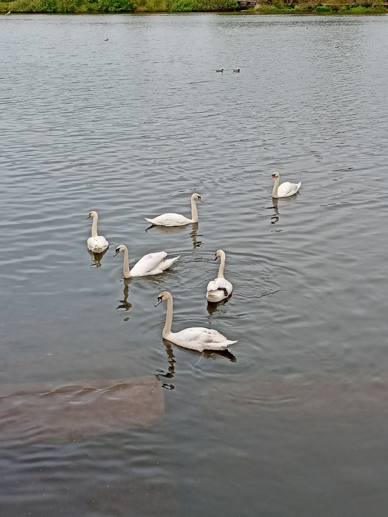 Realme 8 camera sample