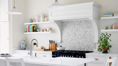 white kitchen with shelves