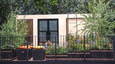 The &lsquo;Fettercairn: The Angels&rsquo; Share&rsquo; balcony garden at the RHS Chelsea Flower Show 2026