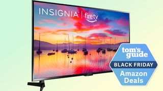 Insignia 43-inch F30 TV cyber monday TV