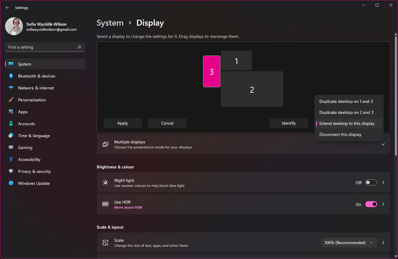 Moniteur Windows 11 étape 2