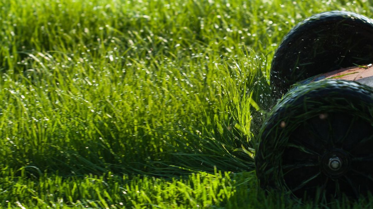 How to cut wet grass: 5 tips for safer mowing | Tom's Guide