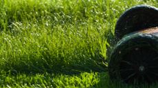 A close up shot of a lawnmower cutting wet grass