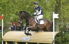 William Fox-Pitt Macchiato