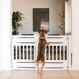 a white plastic pet gate