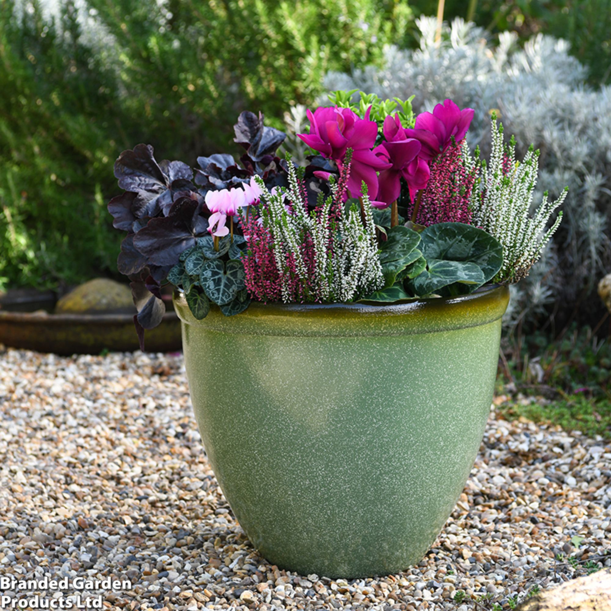 Thompson &amp;amp; Morgan planter