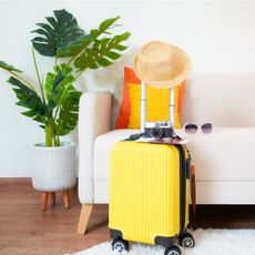 A yellow suitcase in front of a couch and potted plant