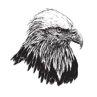 Eagles represent intelligence as well as strength