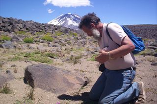 Art Shapiro studying high-altitude butterflies in the Andes of western Argentina.