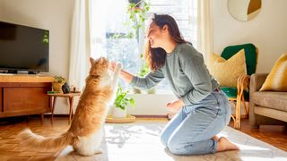 Woman training a cat