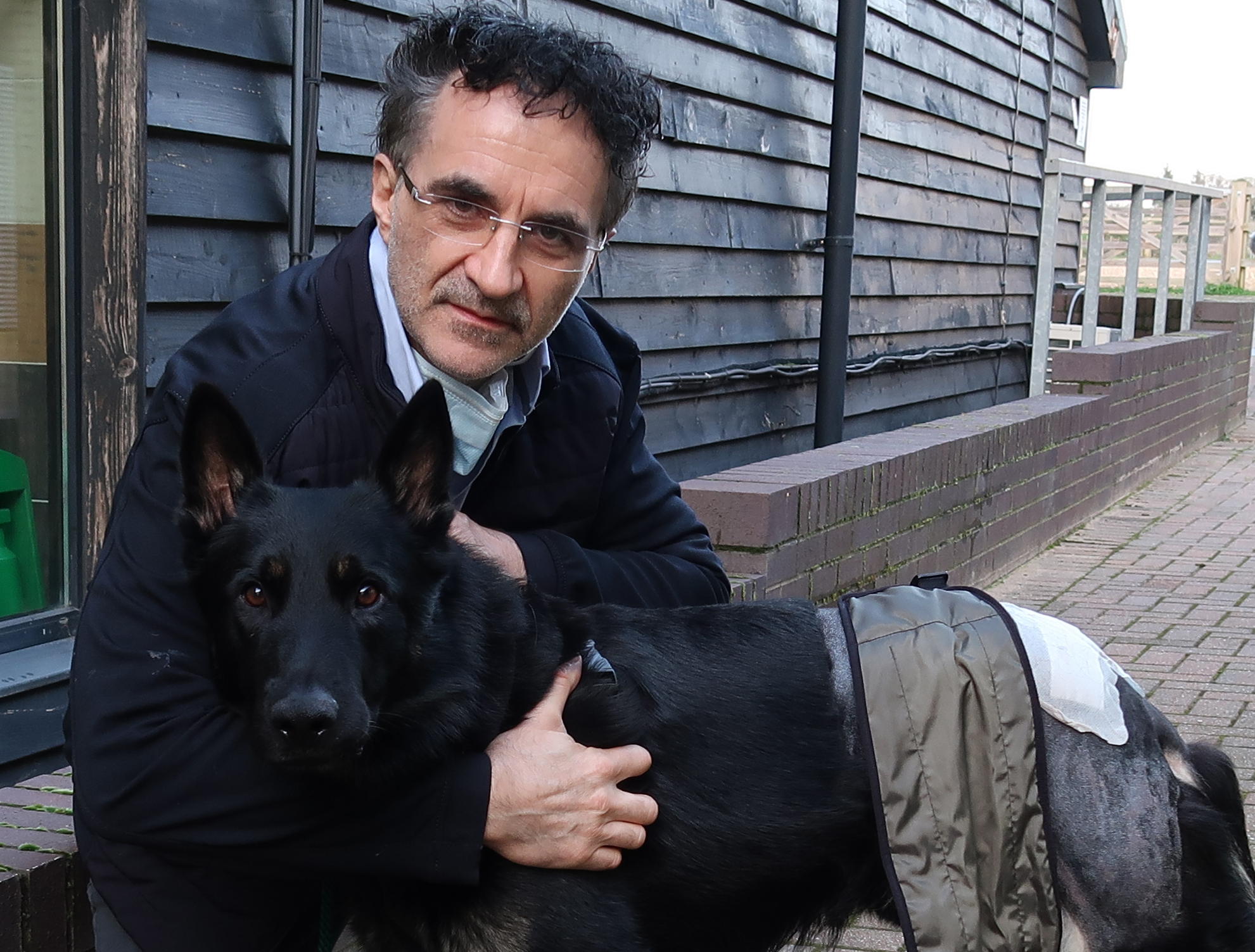 TV tonight Noel with Trigger.