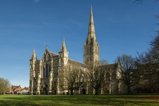 Exterior photo of Salisbury Cathedral, early morning sunshine with trees to the right