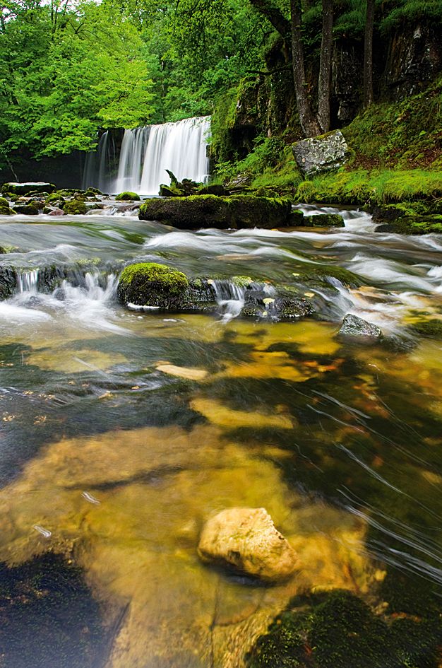 With a polarizing filter