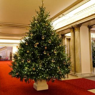The Royal Family Christmas Tree