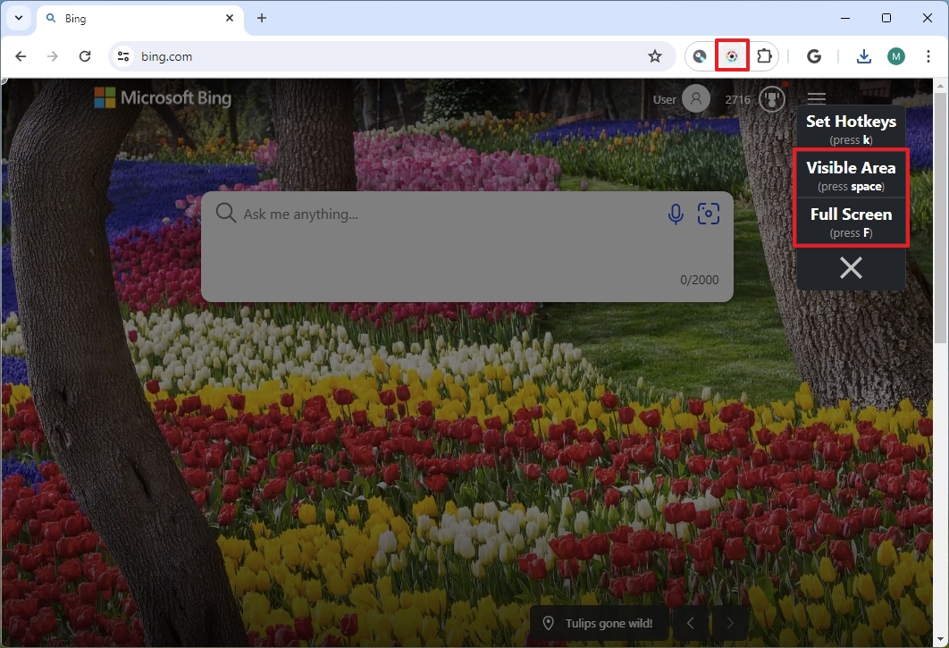 Chrome Screenshot Master toma captura