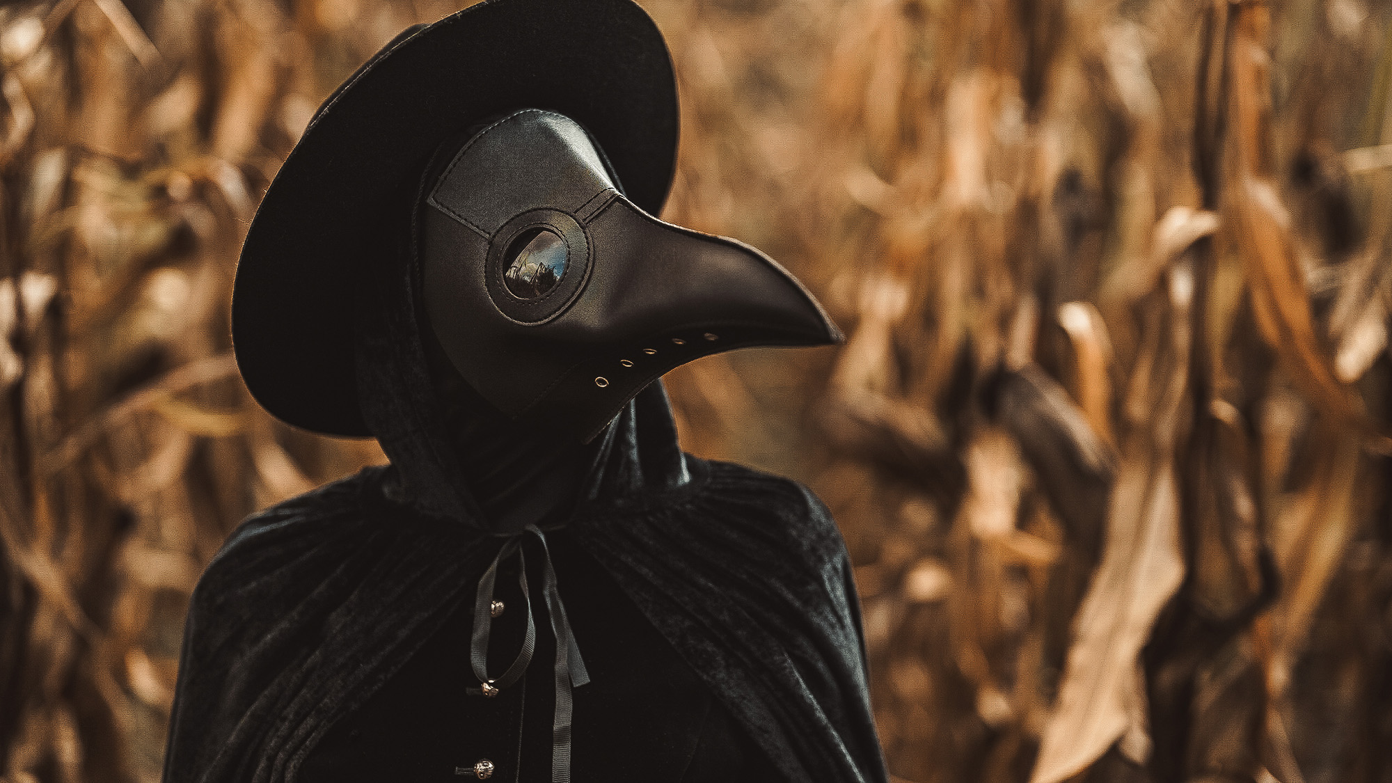 A person wears a black plague mask, hat and cloak and stands in the middle of a corn field.