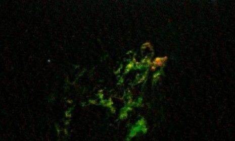 The bright green color of the blob is from &amp;quot;glowing oxygen,&amp;quot; according to NASA.