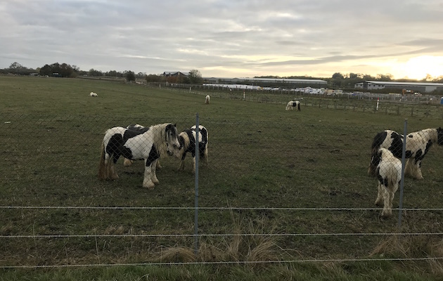 Leicestershire1