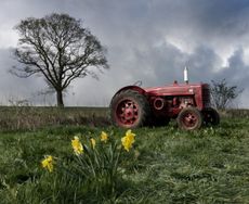 A vintage tractor left in a field after a tractor meet.