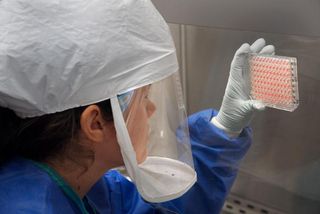 A scientist measures H7N9 virus in a CDC lab.