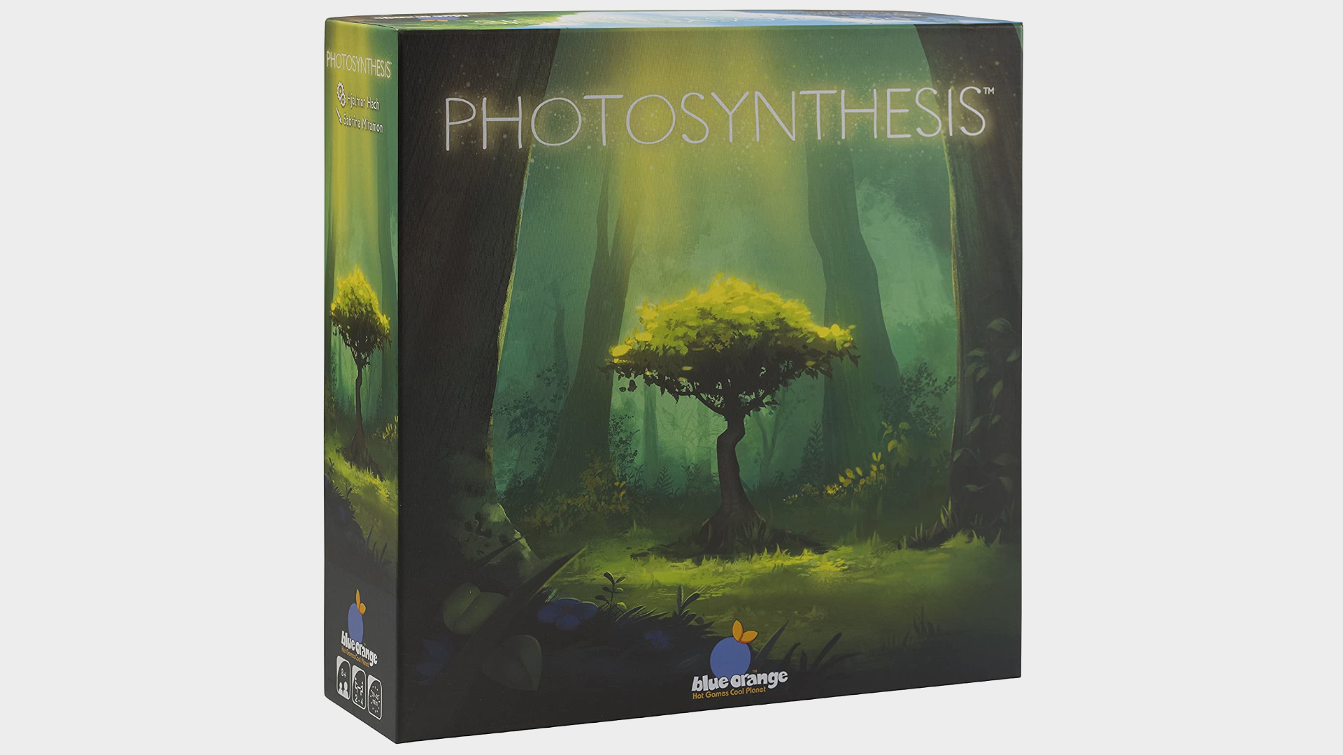 Photosynthesis board game