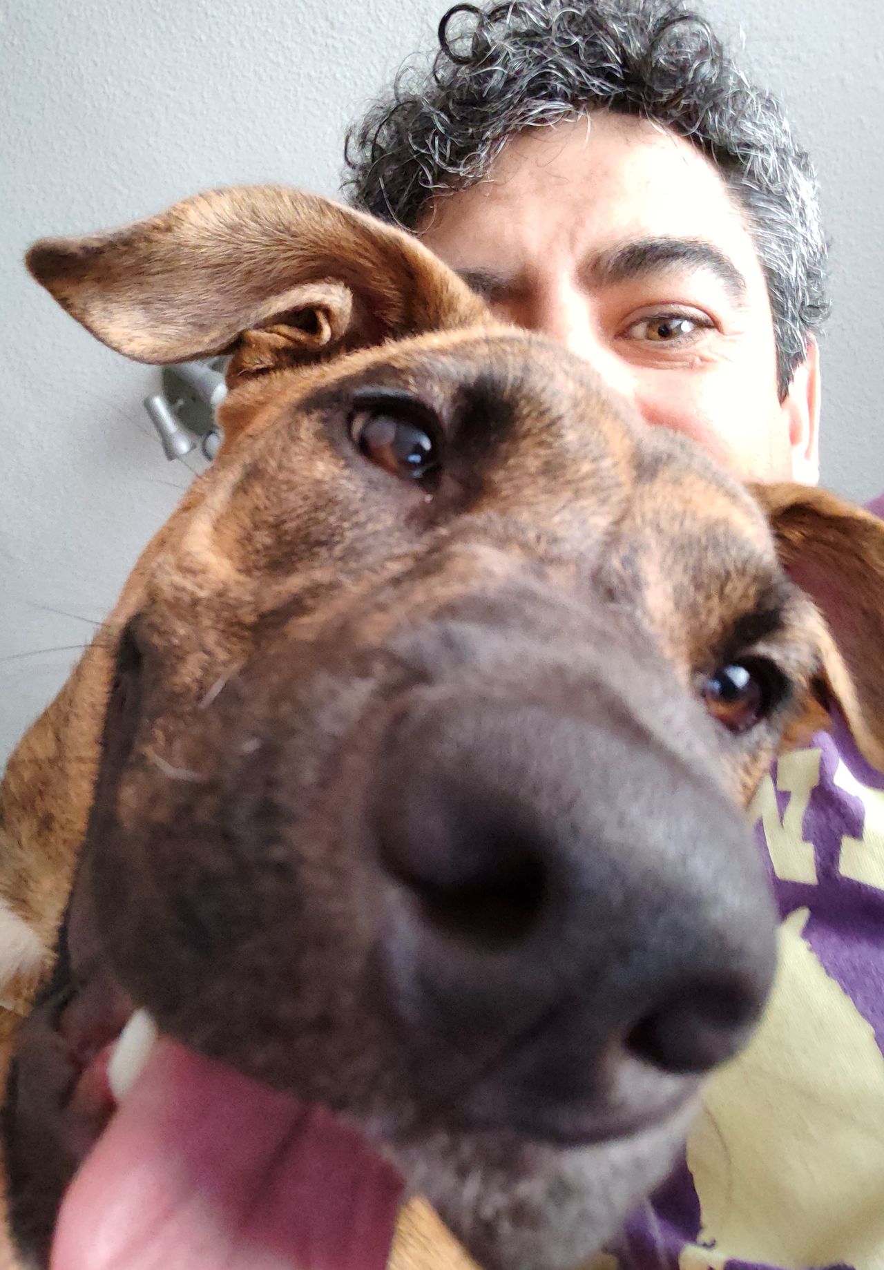Realme GT M.E. Selfie cam