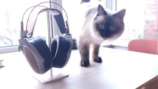 Meze Audio Poet open-back headphones on a wooden table