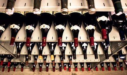 Avoiding overpriced Bordeaux and Burgundy