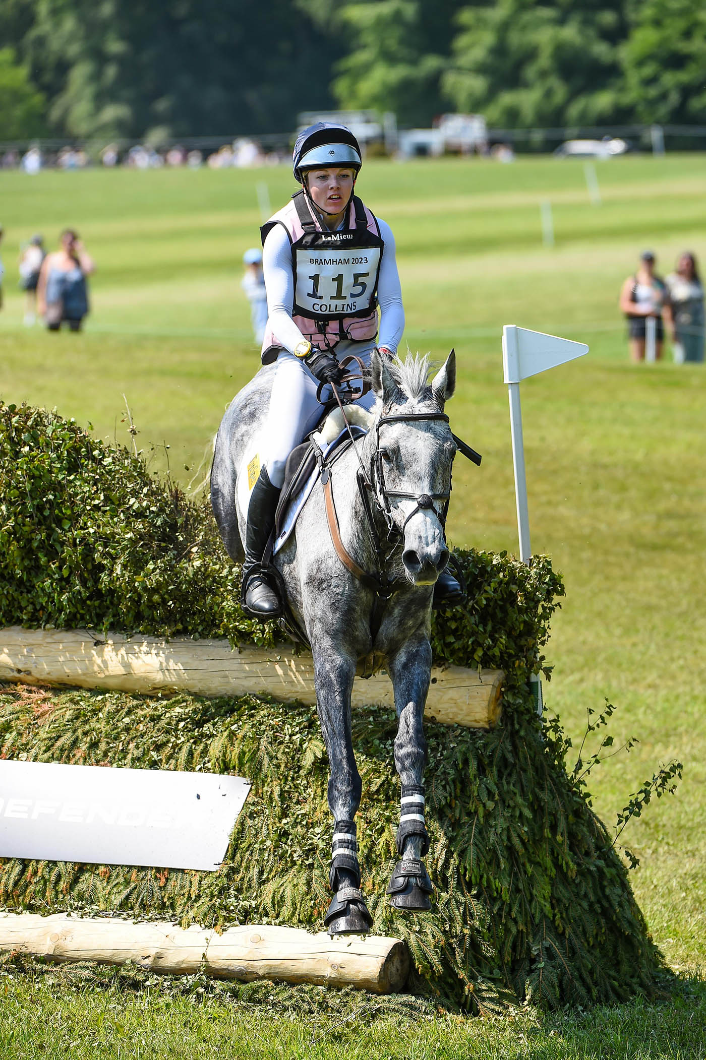 Felicity Collins_SHADOW MINNIE MOON_Bramham_PN23_75100