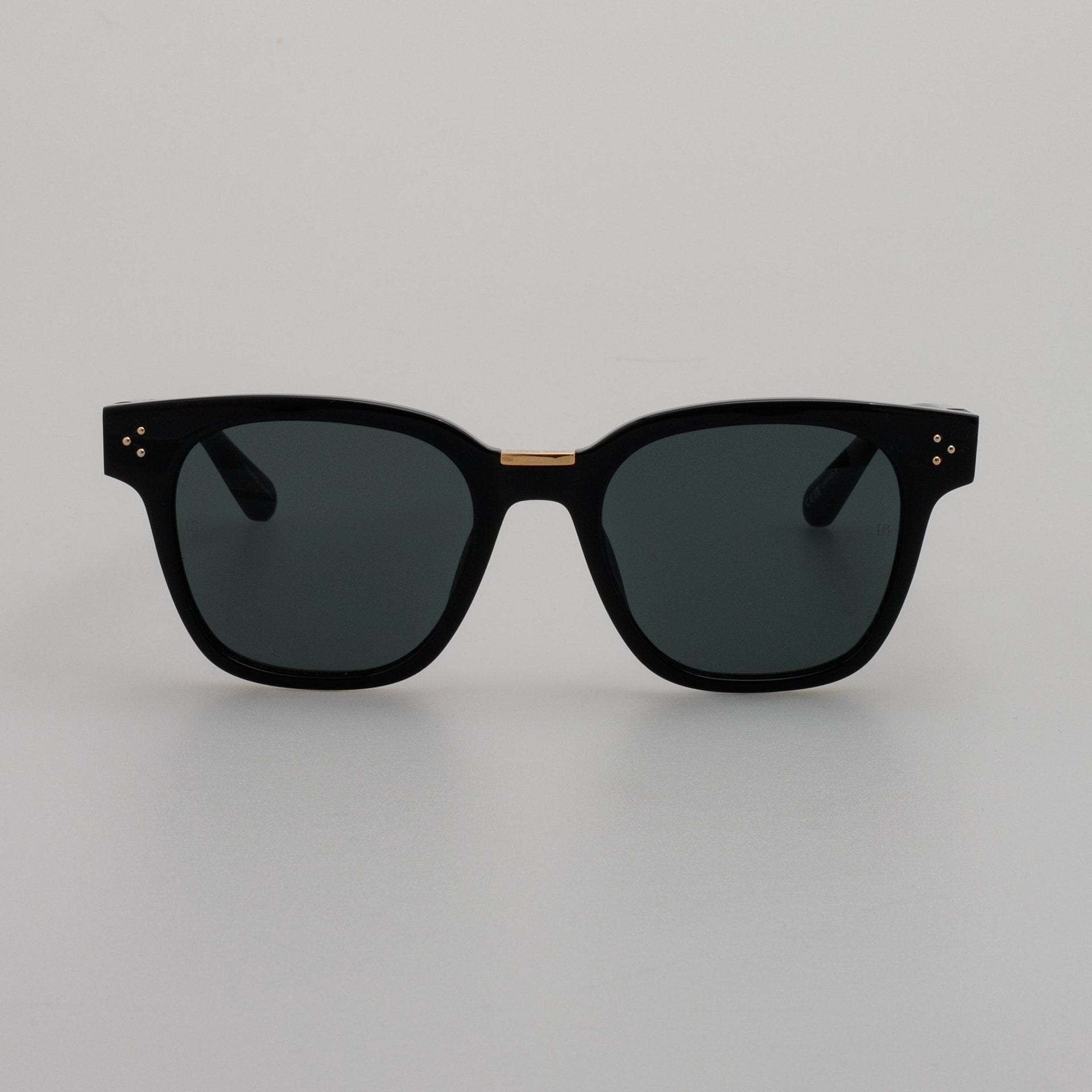 Sanchez Sunglasses in Black