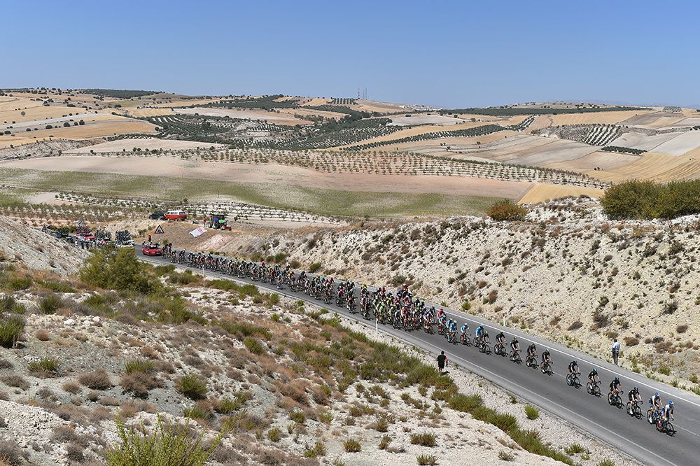 Orica-GreenEdge lead the peloton