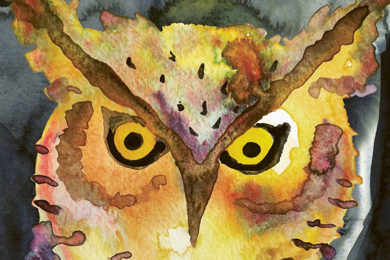 This enchanting children’s book explores girlhood with a host of gorgeously illustrated nighttime creatures