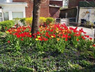 BlackBerry KEYone sample photo