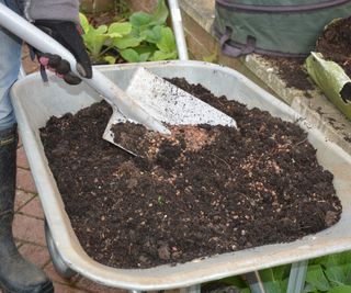 Improving heavy soil by adding grit and manure