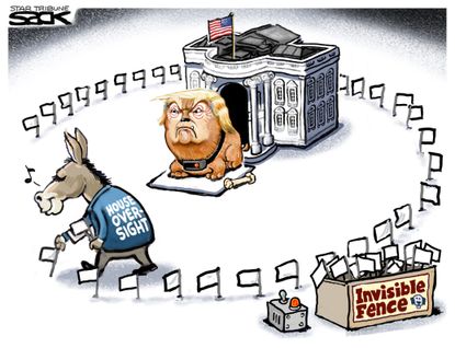 Political cartoon U.S. Trump house democrats oversight