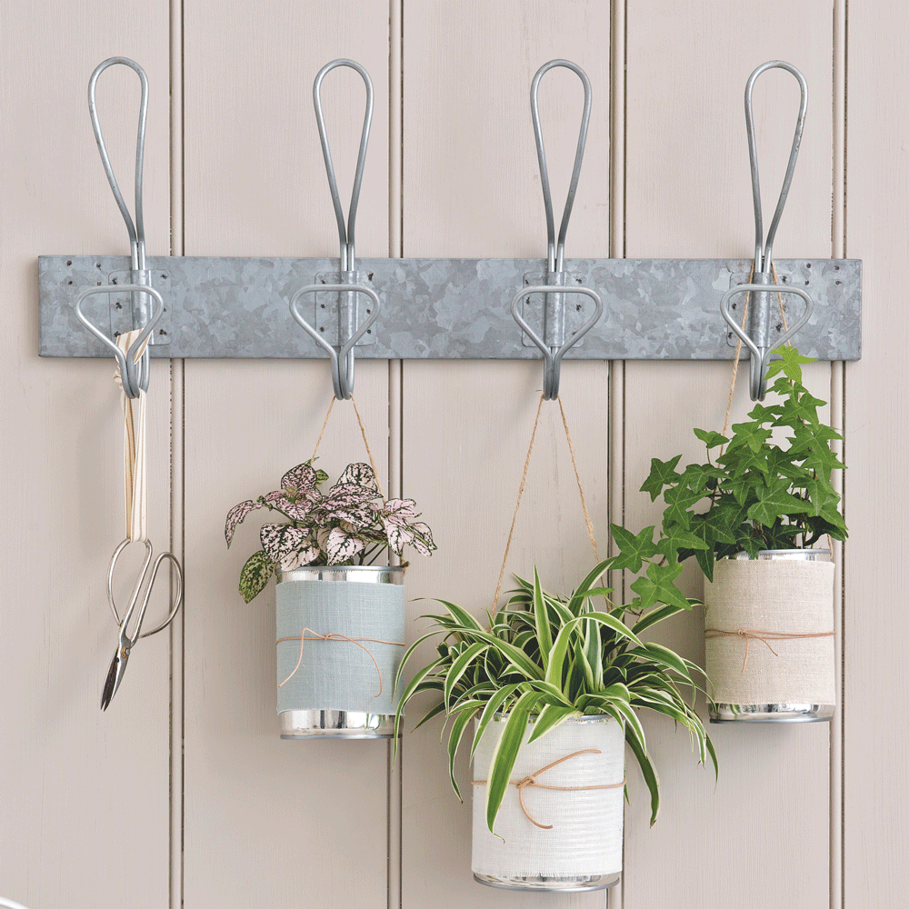 hanging potted plants on hook